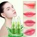 Firstfly 2 Pack Aloe Vera Color Changing Lipstick - Long Lasting Moisturizing Lip Care - Nutritious Plumper Lip Balm - Magic Temperature Color Change Lip Gloss - 2PCS - Buy Online on GoSupps.com