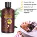 Natural Hair Thickening Shampoo | Organic Herb Formula for Faster Regrowth & Hair Loss Prevention | Unisex & All Hair Types - 0.0353 Fl Oz - Buy Online on GoSupps.com