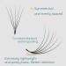 Obeyalash 1000Pcs Loose Premade 4D Eyelash Extensions - 0.07mm C Curl Handmade Lash Fans 8-15mm | Shop Now for International Shipping - Buy Online on GoSupps.com