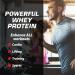 Myogenix Aftershock Critical Mass Anabolic Whey Protein - Chocolate Milk Shake | Zero Lactose Weight Gaining Supplement for Unlimited Muscle Growth - Buy Online on GoSupps.com