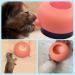 Puppy and Kitten Milk Feeder Station with Nipples - Nursing Supplies for Multiple Newborns - Buy Online on GoSupps.com