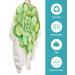 Green Succulent Barber Cape - Adjustable 55x63 Inch Hair Cutting Cape for Women Men Kids | Summer Tropical Vintage Styling Accessory - Buy Online on GoSupps.com