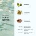 Skylar Isle Escape Eau de Parfum - Hypoallergenic & Clean Perfume for Women & Men Vegan & Safe for Sensitive Skin - Fresh Perfume with Notes of Bergamot Cardamom & Sandalwood - 10mL /0.33 Fl oz - Buy Online on GoSupps.com