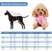 Small Dog Clothes | Chihuahua Hoodies Coats & Sweaters - Warm Pink Hoodie for Puppies - Buy Online on GoSupps.com