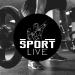 DRASANVI Sport Creatine Monohydrate Powder - 10.58 oz | Boost Muscle Strength - Allergen-Free - Pure Neutral Flavor - Buy Online on GoSupps.com