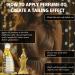 Moonlight Amber Perfume Oil for Women - Ananga & Bergamot Unisex Perfume Oil - Oriental Floral Scent with Lotus Rose Vanilla & Amber - 10ml + 5ml Long-Lasting Concentrated Roll-On - Buy Online on GoSupps.com