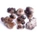 1PC Natural Agate Peculiar Specimen Gray Agate Quartz Rock Stones Pendant Collection Beautiful Natural Crystal Stone Natural Stones and Minerals (Color : Agate 30-40g) - Buy Online on GoSupps.com