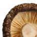 XingliFoods Dried Shiitake Mushrooms  16 oz Organic Top Grade Dried Mushrooms  3 4cm Natural Grown Mushroom  No Fumigation Sulfur - Buy Online on GoSupps.com