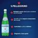 S. Pellegrino Natural Mineral Water with Gas 4 Packs of 6 x 50 cl 24 Bottles - Buy Online on GoSupps.com
