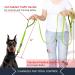 Pioneer Petcore 6ft Dog Lead - Heavy Duty Reflective Dual Handle Leash for Large and Medium Dogs - Green - Buy Online on GoSupps.com