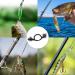 Decareta 40PCs Stainless Steel Front Fan - 30cm Fishing Gear with Carabiner Hooks | Ideal for Predatory Fishing - Buy Online on GoSupps.com