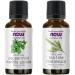 Now Peppermint Oil Liquid 30ml + Now Tea Tree Oil Liquid 30ml Peppermint Oil + Tea Tree Oil