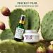 Nature Skin Shop Prickly Pear Body Cream Anti-Aging & Firming Body Butter with Shea Butter for Dry Crepey Skin Vitamin K to Even Tone & Restore Glow - Buy Online on GoSupps.com