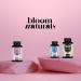 Acide Folique Hautement Dos - 400 Comprim s - Vitamine Grossesse - Vitamine B9 Acide Folique - Vegan & Produit en Allemagne - Buy Online on GoSupps.com