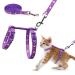 Basuppit Cat Harness and Leash Set Gold Moons Stars Soft Nylon Escape Proof Adjustable for Kittens Small Animals Glow in The Dark (Purple)