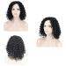 BGHJUE Short Curly Wig - Brazilian Lace Front Human Hair Wig with Baby Hair 35cm Black - International Shipping - Buy Online on GoSupps.com