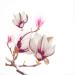 JUYA 60-Color Paper Quilling Strips Set - 10 Packs, 54cm Length, 3mm Width - Buy Online on GoSupps.com