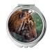 YENDOSTEEN Mirror Travel Mirror animal animal photography big cat pocket mirror portable mirror
