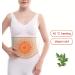 Even Heating Wormwood Waist Belt for Lumbar Spine Support - Natural Ingredients Breathable Pain Relief Heating Pad (100cm) - Buy Online on GoSupps.com