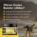PETSY LABS Canine Booster (2 x 150 g) with Green-lipped Mussel Dog Supplement Dog Supplement Supports Immune System Joint Mobility and More - Buy Online on GoSupps.com