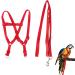 Felenny bird dishes and leash adjustable birdeine indispensable accessories outdoor flight anti-bite suitable for scarlet red ara sun conure nymphensittich papagei red (small)
