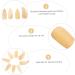 POPETPOP 8 Pcs Guzheng nail pieces Guzheng Nail Covers Practical Guzheng Nails Finger Picks guitars for adults guzheng false nails guitar thumb picks music lute small horns child instrument 2.5X1.2X0.1CM Light Yellow 02 - Buy Online on GoSupps.com