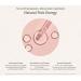 Buy THE PLANT BASE Time Stop Vitamin Ampoule | Prunus Yedoensis 83% | 14 Vitamins & Bakuchiol | Premium K-Beauty for Youthful Skin - International Shipping Available - Buy Online on GoSupps.com