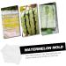 OSALADI Tools Pumpkin Watermelon Shaping Mold Fruit Forming Mold Vegetable Stereotypes Gardening Supplies 15x15cm Transparent - Buy Online on GoSupps.com