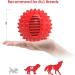 Petizer Indestructible Squeaky Dog Ball Toy for Big Aggressive Chewers | Durable Rubber Pet Toy for Medium & Large Breeds - Red 10cm - Buy Online on GoSupps.com
