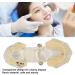 Buy Verdant Touch Transparent Dental Implant Model - Ideal Teaching Aid for Pathology & Dental Studies | International Shipping Available - Buy Online on GoSupps.com