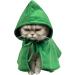Scout Regiment Cloak Pet Costume - Green | Anime Hooded Robe for Dogs & Cats - Buy Online on GoSupps.com