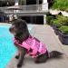 Cit toile Dog Life Jacket - Shark Design Mermaid Tail Pink 2XL XXL - Perfect for Small Medium & Large Dogs - International Shipping Available! - Buy Online on GoSupps.com