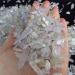100g Natural Tumbled Kunzite Quartz Crystal Spodumene Bulk Stone Reiki - Buy Online on GoSupps.com