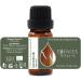 Forest Magic Organic Essential Oils Set - Scotch Pine, Juniper, Silver Fir | 100% Pure & Natural, Therapeutic Grade | Family-Owned Farm | Non-GMO | 3 x 10 ml - Buy Online on GoSupps.com