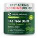 OWELL NATURALS Tea Tree Balm Oil 2 Fl Oz with Vitamin E for Acne Itchy Dry Flaky and Cracked Skin Rashes Bee Stings Splinters Poison Ivy Insect Bites Cuts and Burns - Paraben-Free (1 Pack) 2 Fl Oz (Pack of 1)