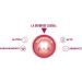 Buy Biorepair Peribioma Pro Advanced Toothpaste - 3 x 75 ml for Siblings | Balance Microbiot Problems | International Shipping Available - Buy Online on GoSupps.com