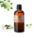 Night Blooming Jasmine Essential Oil - 100% Pure Grade Essential Oil by Nature's Note Organics - 1 Fl Oz 1 Fl Oz (Pack of 1)