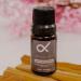 100% Pure Palo Santo Essential Oil - Organic & All Natural | Ideal for Diffuser Skin Perfume Candles Spray & Bath - 0.34oz - Buy Online on GoSupps.com