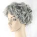 Shop Granny Gray Curly Short Hair Wigs - Perfect for Camouflage | International Shipping Available - Buy Online on GoSupps.com