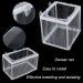 Aquarium Fish Breeder Box Set - 2 Pack, Small & Big Size | Fish Isolation, Hatching & Spawning Incubator with Suction Cups - Buy Online on GoSupps.com