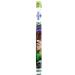 AMTRA WONDER - Aquarium poster background aquarium decoration decorative poster with double print format 30x60cm - Buy Online on GoSupps.com