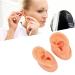 Long Lasting Waterproof Soft Artificial Ear Display Model for Medical Professionals - Buy Online on GoSupps.com