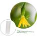 VANZACK Garden Fruit Mould 2pcs Vegetable Shaping Vegetables Flower Shaped Cucumber Molds Fruit Molds Modeling - Buy Online on GoSupps.com
