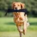 Durable 30cm Sausage Dog Toy - Robust Training Tug for K9 & Taming - Ideal for Dogs - Buy Online on GoSupps.com