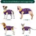Kuoser Dog Post-Op Body Suit | Breathable & Leak-Proof Protection for Male Dogs | Anti-Licking Recovery Wear Purple XS (1 Pack) - Buy Online on GoSupps.com