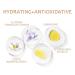 Sulily 2 Pcs BB Cream Full Coverage Foundation Hydrating Natural Flawless Concealer - Oil-Free Makeup Base for Color Correcting (Natural Color) - Buy Online on GoSupps.com