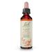 Bach Original Flower Remedies Cherry Plum - Be in Control - Natural Homeopathic Flower Essence for Emotional Balance - Vegan Gluten Free Sugar Free - 20mL Dropper