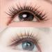 Lankiz 160 PCs C Curl Cluster Lashes | 0.07mm Eyelash Extensions for Beginners | Natural False Eyelashes - DIY at Home - Buy Online on GoSupps.com