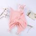 ShapeW Baby Pacifier & Teether Blanket - Soft Animal Cats Bib for Infants | Comfort Sleeping & Breastfeeding Toy - Buy Online on GoSupps.com