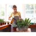 Panendiano Braunglas Spray Bottles & Watering Can - 250ml Adjustable Spray Head Reusable for Plants Flowers Garden & Hairdressing - 4 Pack Transparent - Buy Online on GoSupps.com